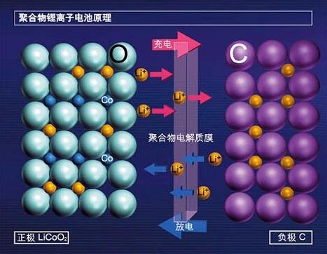 开云体育手机下载工作原理圖